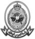 Owl Image